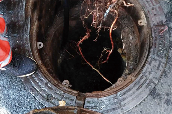 新罗管道预处理